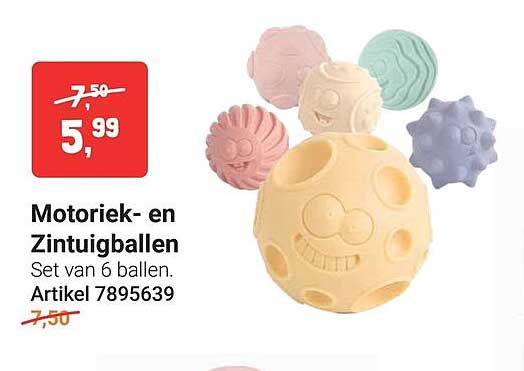 Motoriek- en Zintuigballen