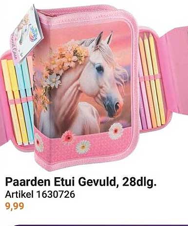 Paarden Etui Gevuld, 28dlg.