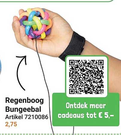 Regenboog Bungeebal