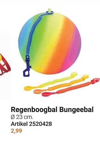 Regenboogbal Bungeebal