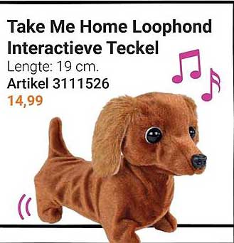 Take Me Home Loophoond Interactieve Teckel