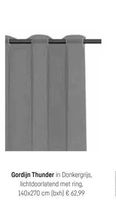 Gordijn Thunder in Donkergrijs, lichtdoorlatend met ring, 140x270 cm (bxh) € 62,99
