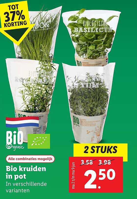 Bio kruiden in pot