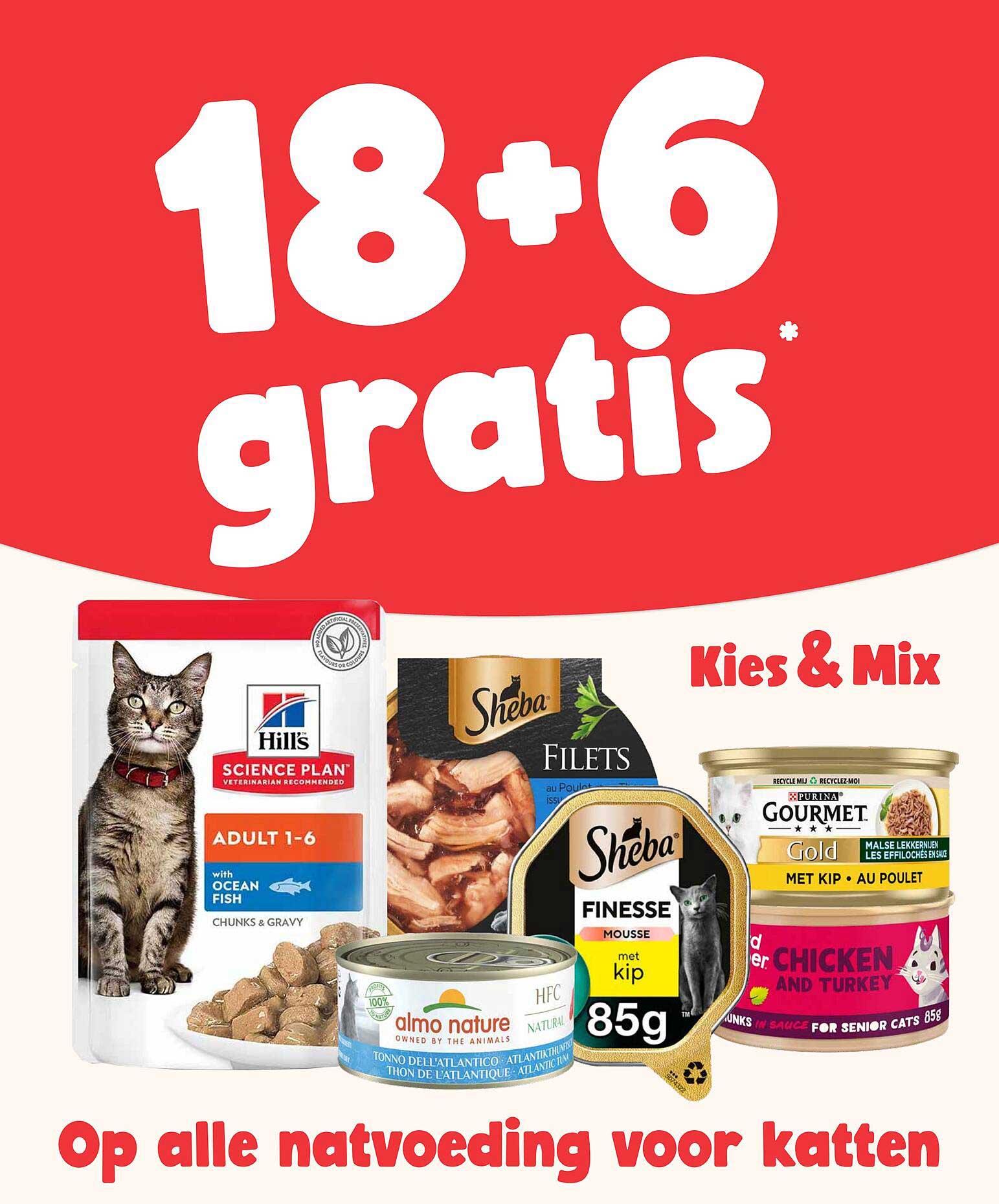 18+6 gratis