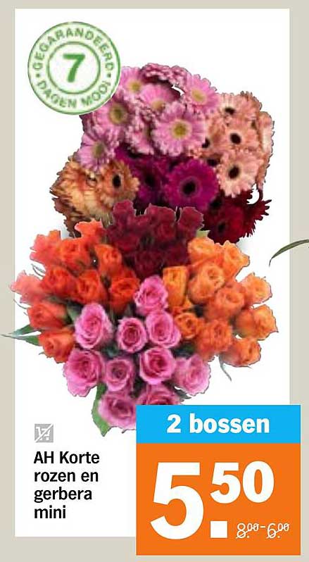 AH Korte rozen en gerbera mini