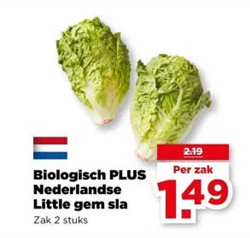 Biologisch PLUS Nederlandse Little gem sla
