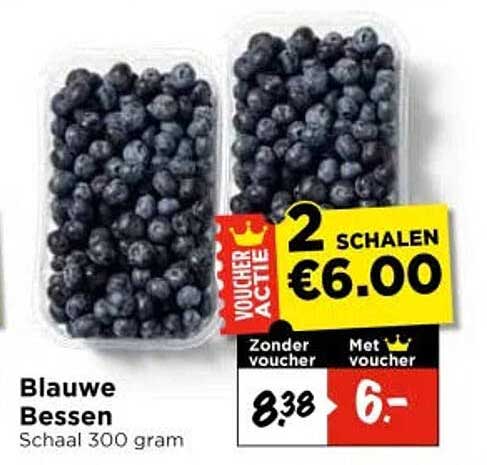 Blauwe Bessen Schaal 300 gram 2 SCHALEN €6.00