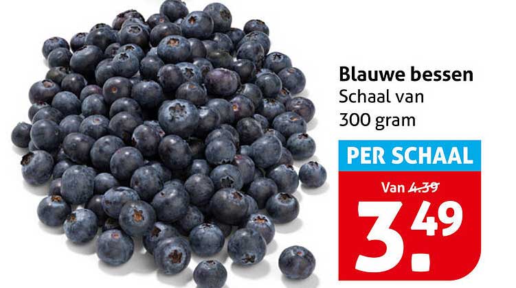 Blauwe bessen Schaal van 300 gram PER SCHAAL