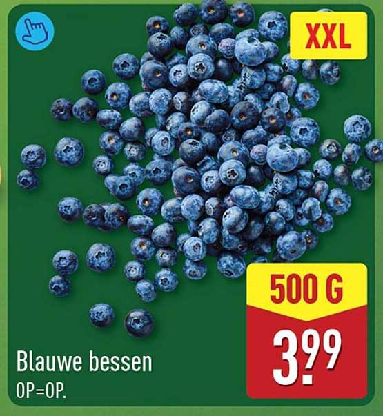 Blauwe bessen XXL 500 g