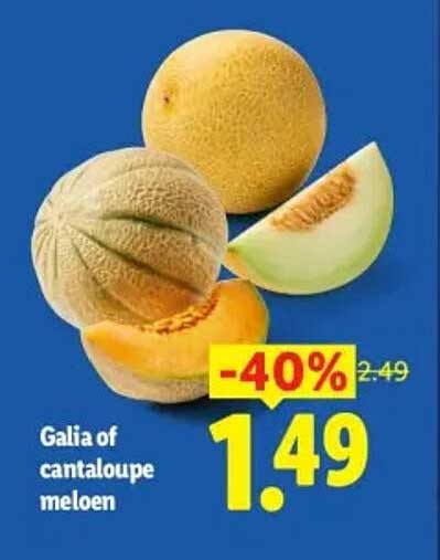 Galia of cantaloupe meloen -40%