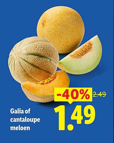 Galia of cantaloupe meloen