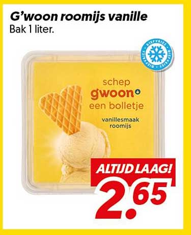 G'woon roomijs vanille Bak 1 liter.