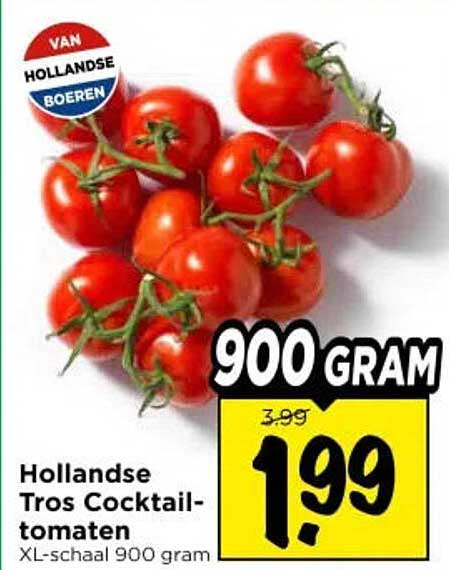 Hollandse Tros Cocktail-tomaten XL-schaal 900 gram