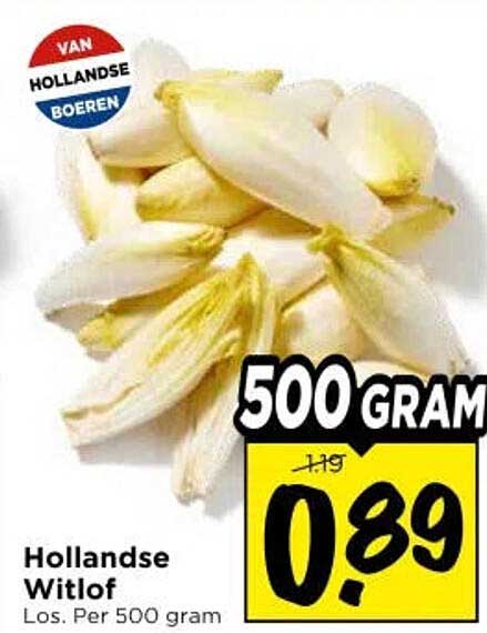 Hollandse Witlof