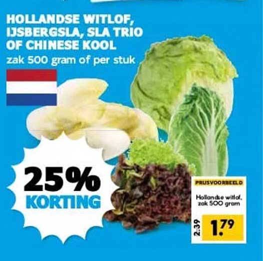 Hollandse witlof, ijsbergsla, sla trio of Chinese kool zak 500 gram of per stuk 25% KORTING