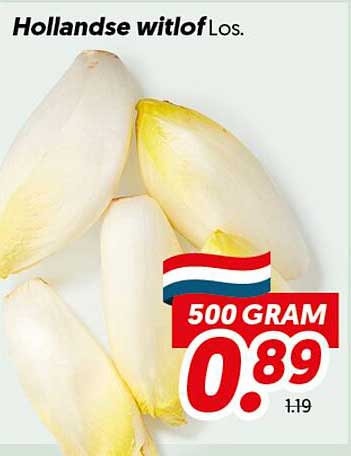 Hollandse witlof Los.
