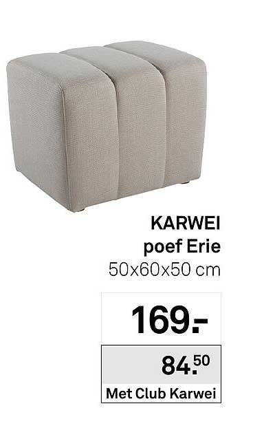KARWEI poef Erie 50x60x50 cm