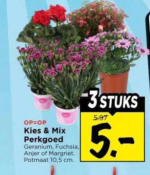 Kies & Mix Perkgoed Geranium, Fuchsia, Anjer of Margriet. Potmaat 10,5 cm. 3 stuks
