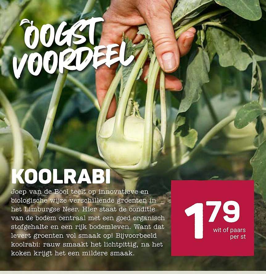 KOOLRABI