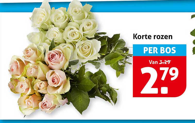 Korte rozen PER BOS