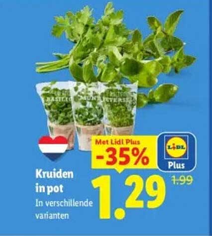 Kruiden in pot In verschillende varianten -35%