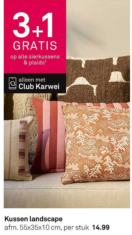 Kussen landscape 3+1 gratis
