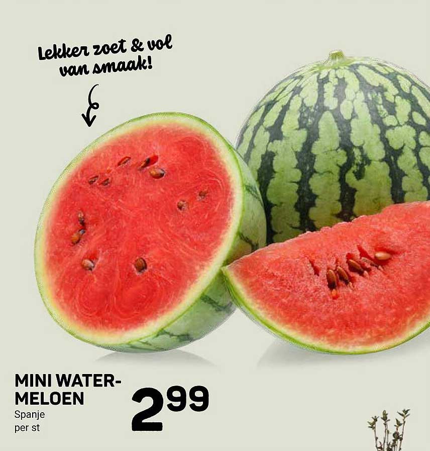 MINI WATERMELOEN