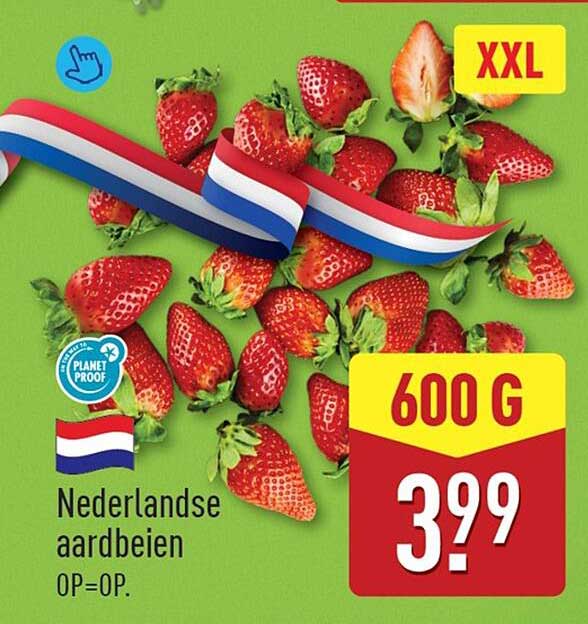 Nederlandse aardbeien XXL 600 g