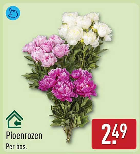 Pioenrozen