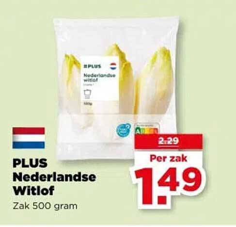 PLUS Nederlandse Witlof