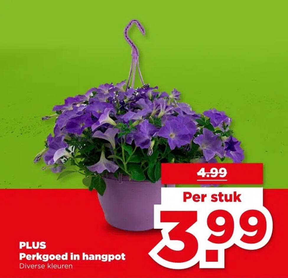 PLUS Perkgoed in hangpot Diverse kleuren