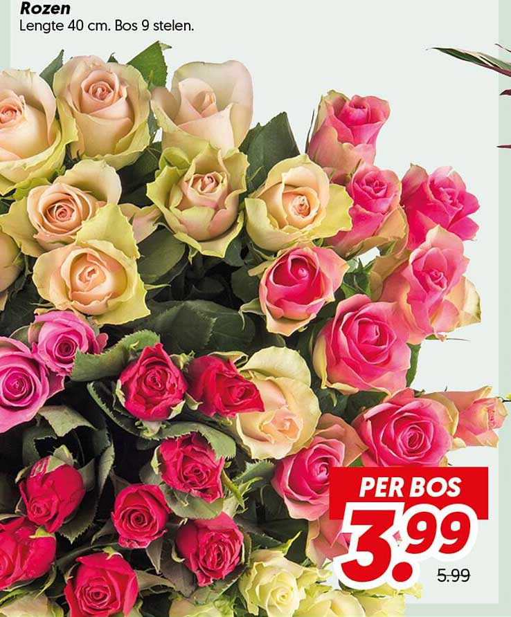 Rozen Lengte 40 cm. Bos 9 stelen.