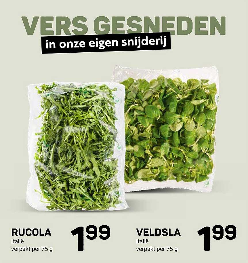 Rucola