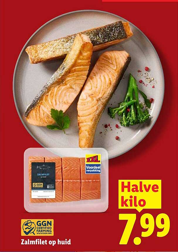 Zalmfilet op huid