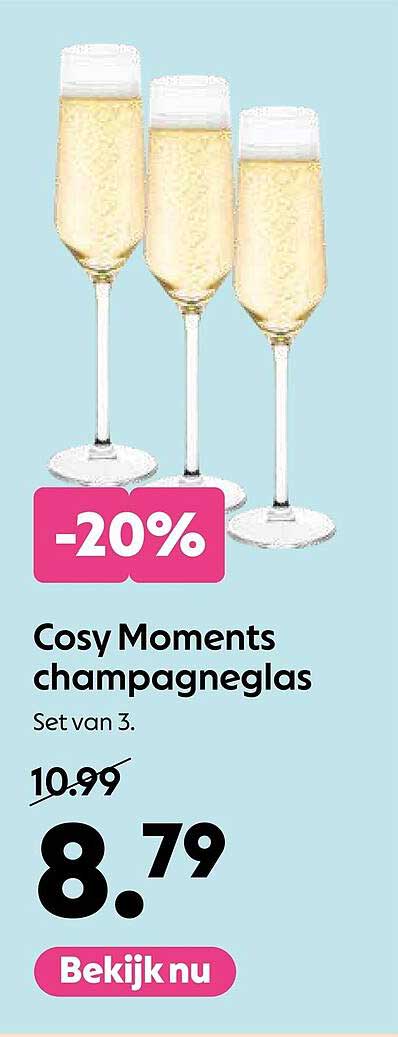 Cosy Moments champagneglas Set van 3 -20%