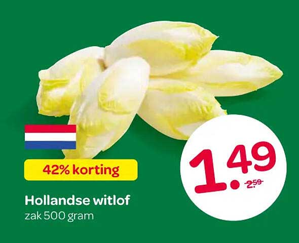 Hollandse witlof