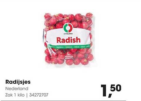 Radijsjes