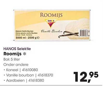 Roomijs