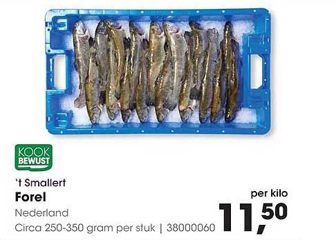 't Smalert Forel