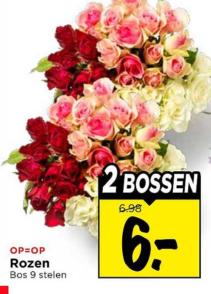2 bossen Rozen Bos 9 stelen