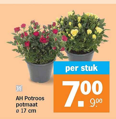 AH Potroos potmaat ø 17 cm per stuk