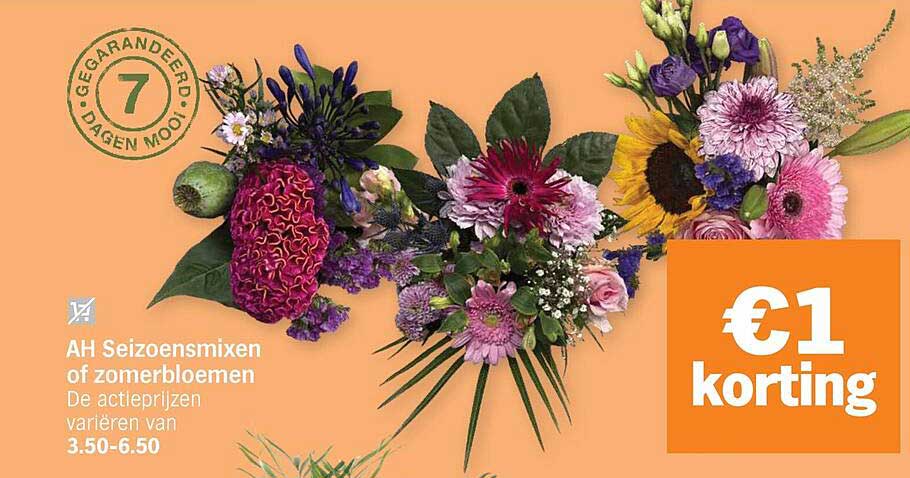 AH Seizoensmixen of zomerbloemen €1 korting