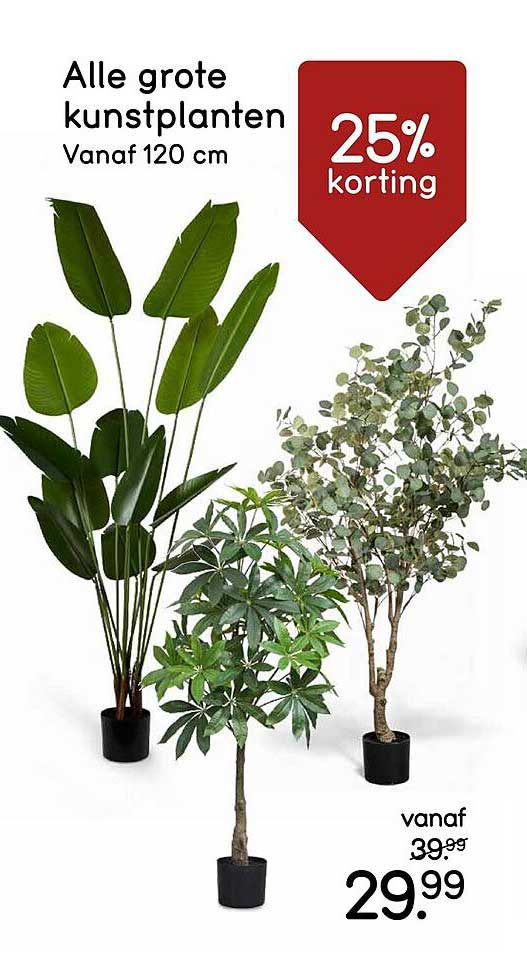 Alle grote kunstplanten Vanaf 120 cm 25% korting