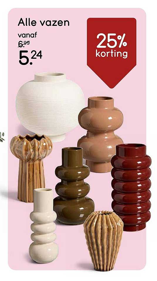 Alle vazen 25% korting