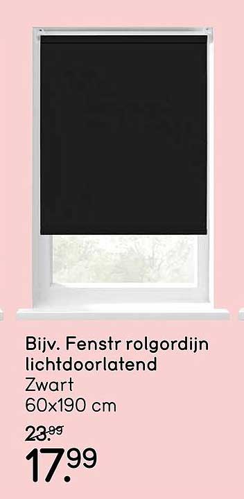Bijv. Fenstr rolgordijn lichtdoorlatend Zwart 60x190 cm