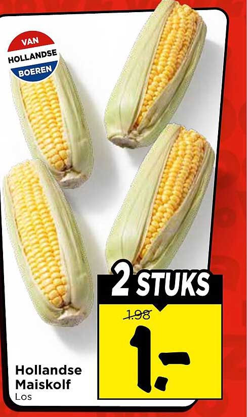 Hollandse Maïskolf Los 2 STUKS