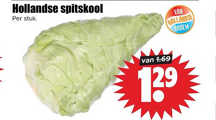 Hollandse spitskool