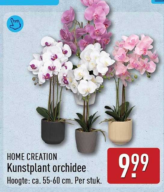HOME CREATION Kunstplant orchidee