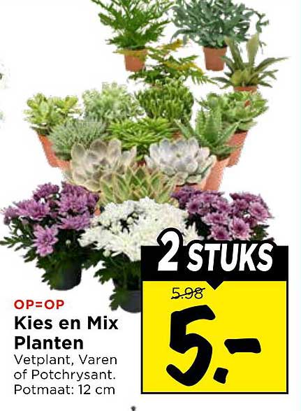 Kies en Mix Planten 2 stuks