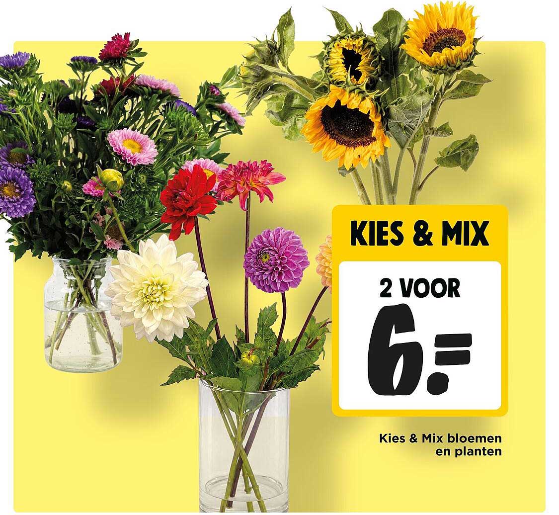 KIES & MIX 2 VOOR 6.- Kies & Mix bloemen en planten